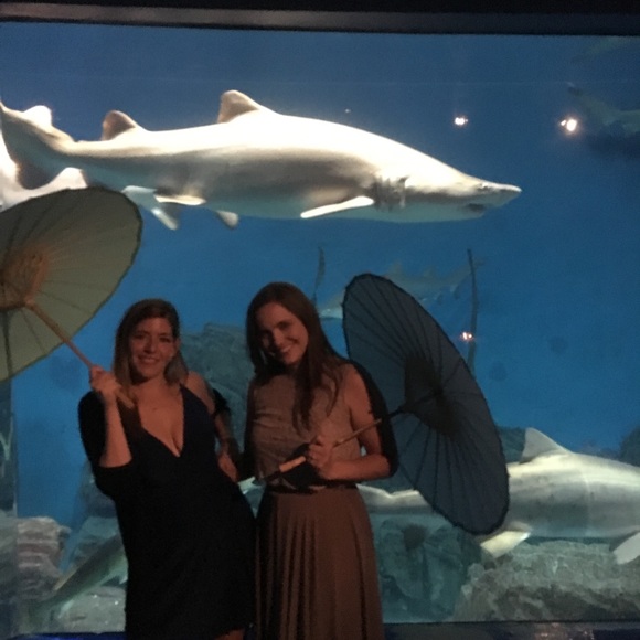 Meet your Posher, Averill - Picture 7 of 7